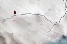 J9集团国际(中国)-官方网站