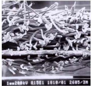 J9集团国际(中国)-官方网站